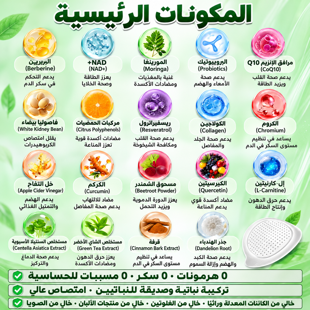 المكونات الرئيسية