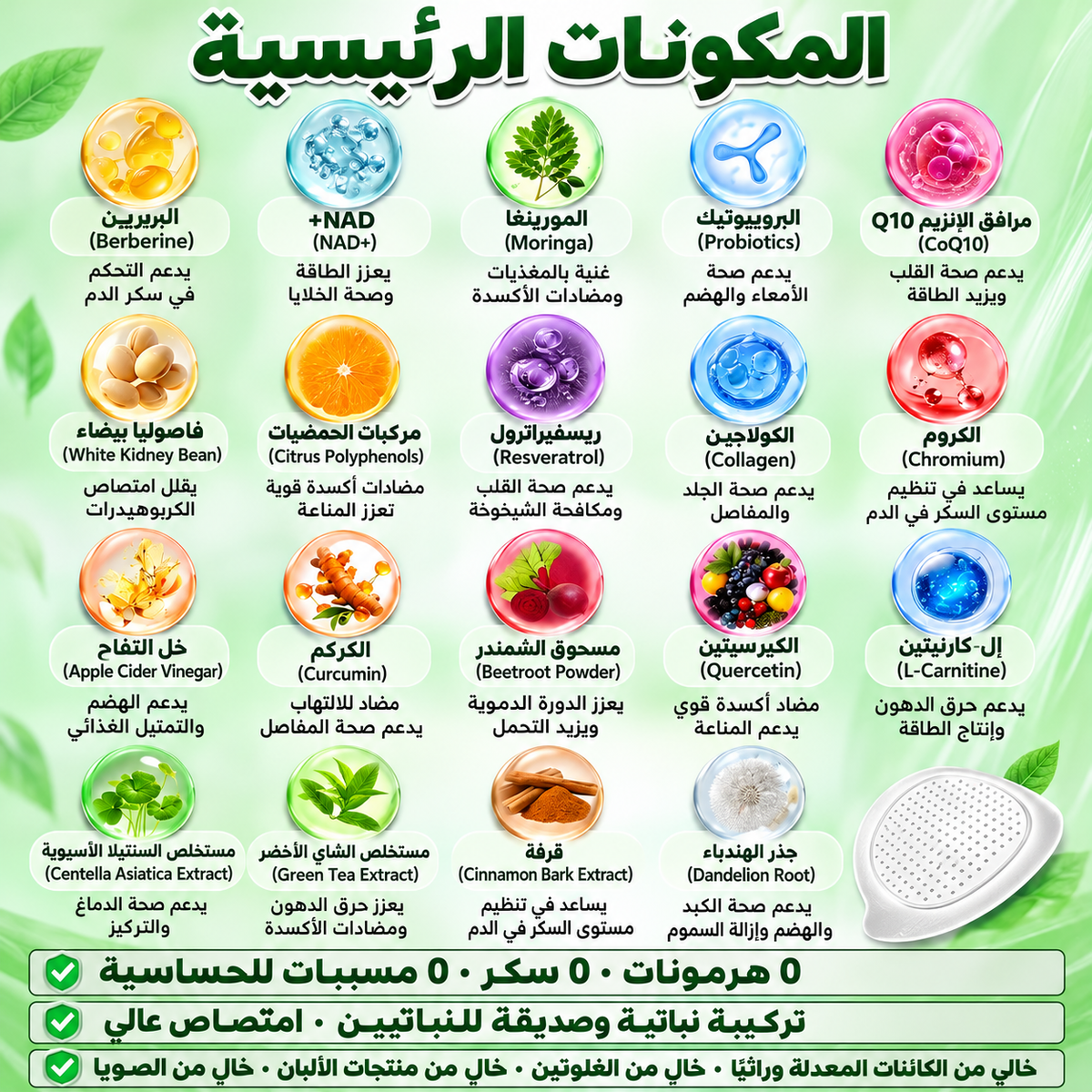 شهية أهدأ وطاقة أكثر بلصقة واحدة في اليوم 3